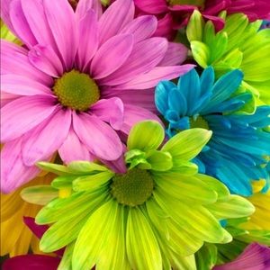 Meet your Posher, Addison